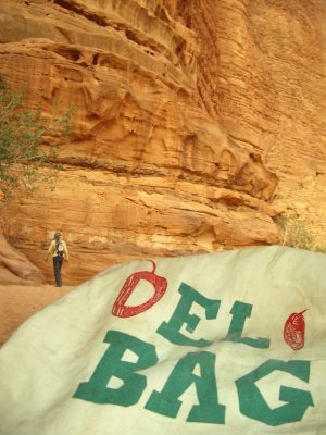 Bag In Wadi Rum Jordan.JPG